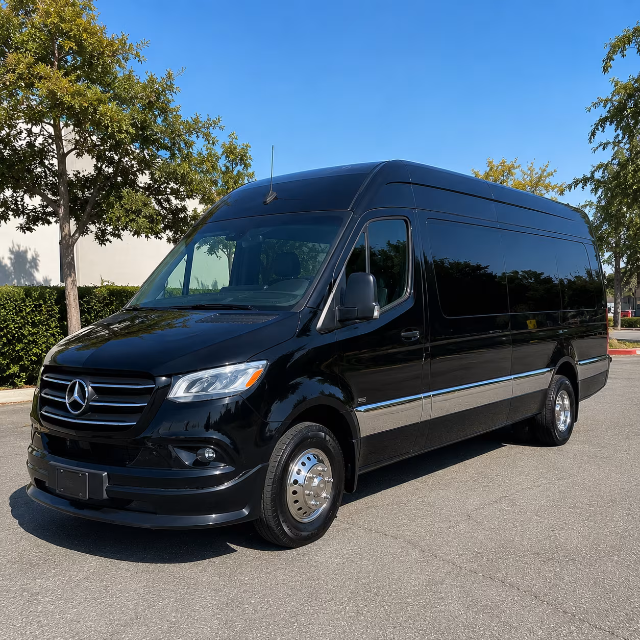 torrance sprinter van with driver